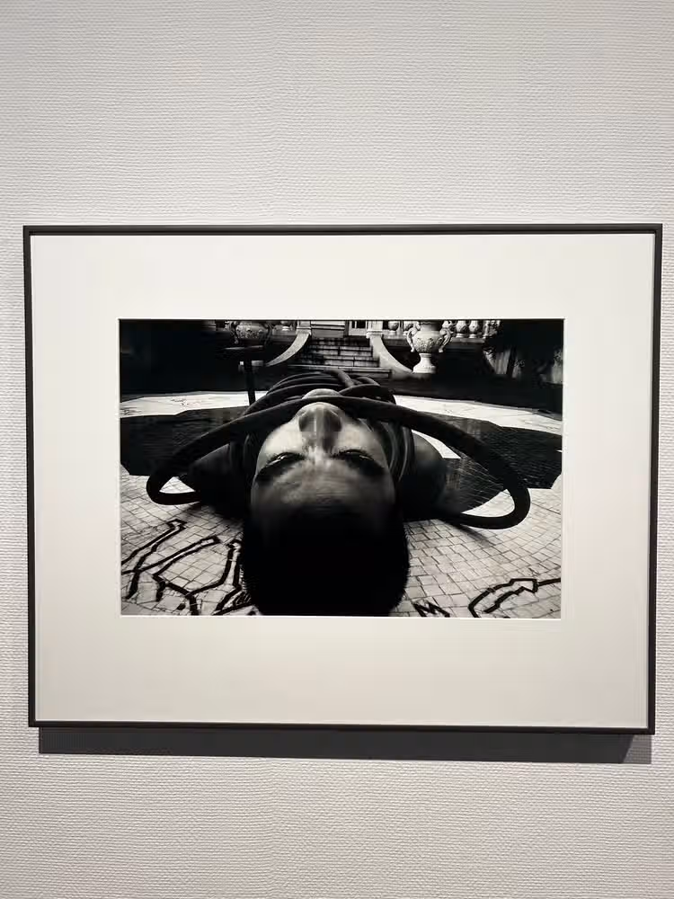 写真