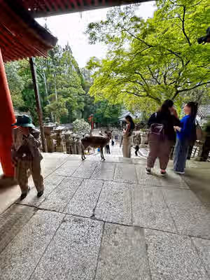 写真